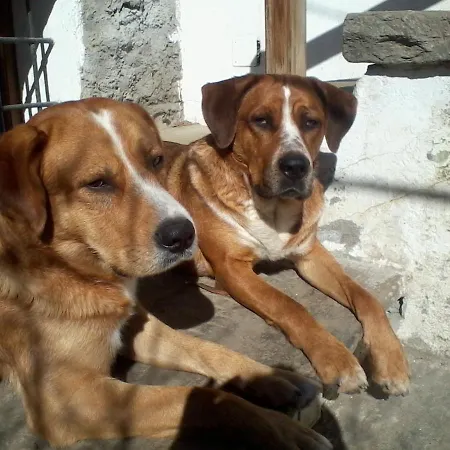 Domek alpejski Il Cassero *