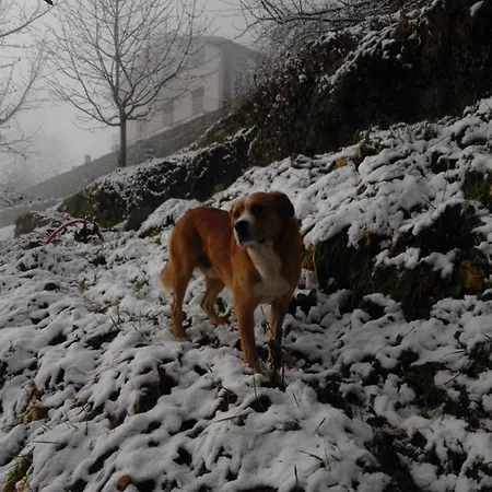 Il Cassero
