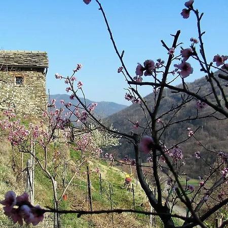 Il Cassero * Pomaretto