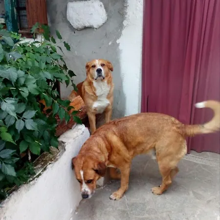 샬레 Il Cassero Pomaretto