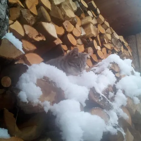 Il Cassero Pomaretto