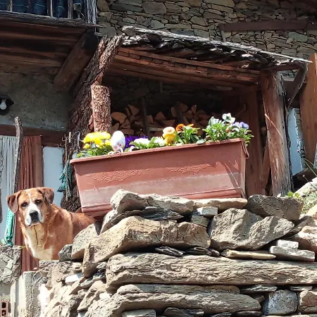 Il Cassero Alpehytte