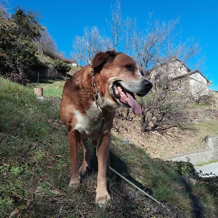 Il Cassero * Pomaretto