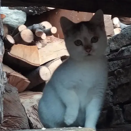 Il Cassero Pomaretto