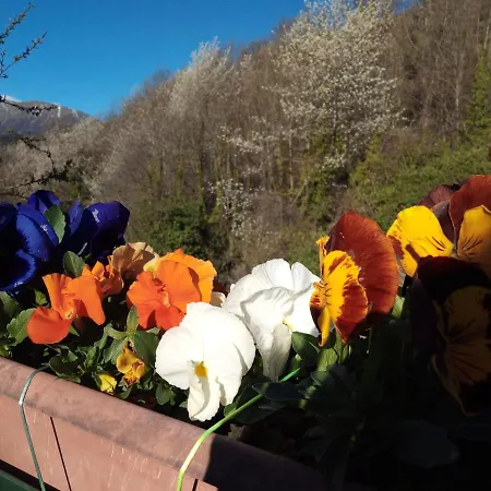 Chalet Il Cassero