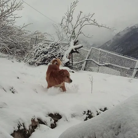 Il Cassero Domek alpejski