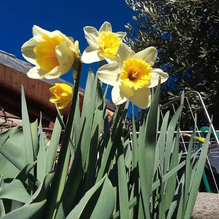 Il Cassero Pomaretto