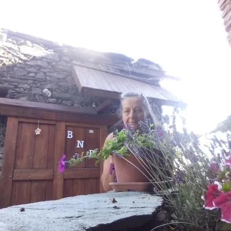 Alpehytte Il Cassero *