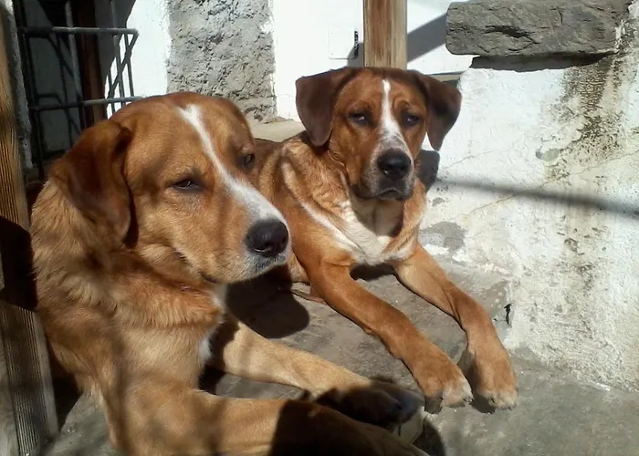 Dağ evi Il Cassero *