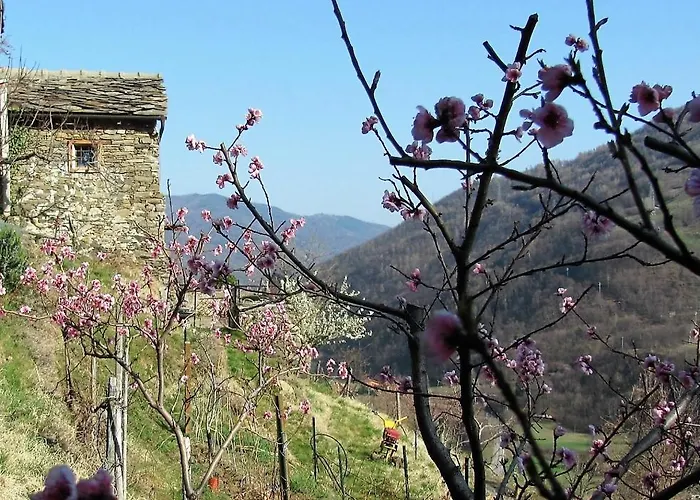 Il Cassero * Pomaretto