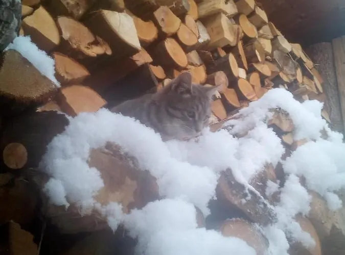 Il Cassero Pomaretto