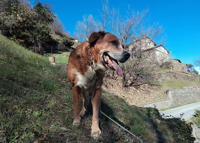 Il Cassero * Pomaretto