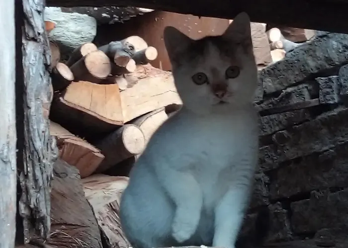 Il Cassero Pomaretto