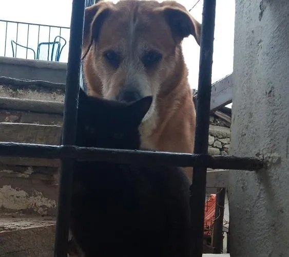 Il Cassero בקתה *