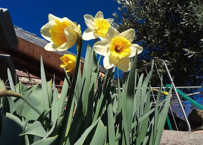 Il Cassero Pomaretto