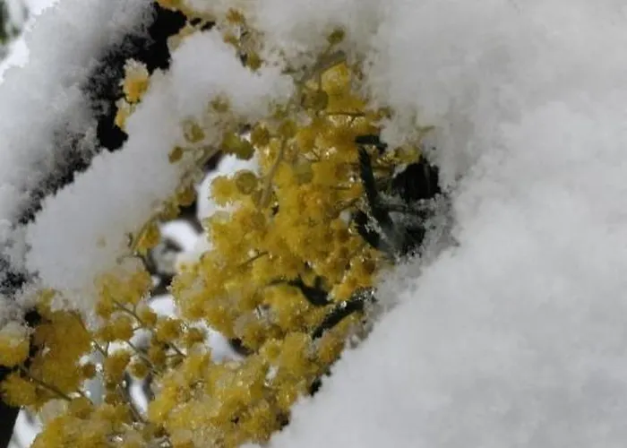 Dağ evi Il Cassero *